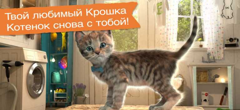 Little Kitten Adventures